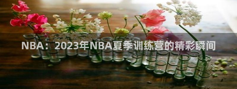 NBA：2023年NBA夏季训练营的精彩瞬间