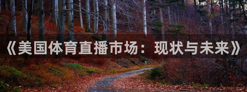 《美国体育直播市场：现状与未来》