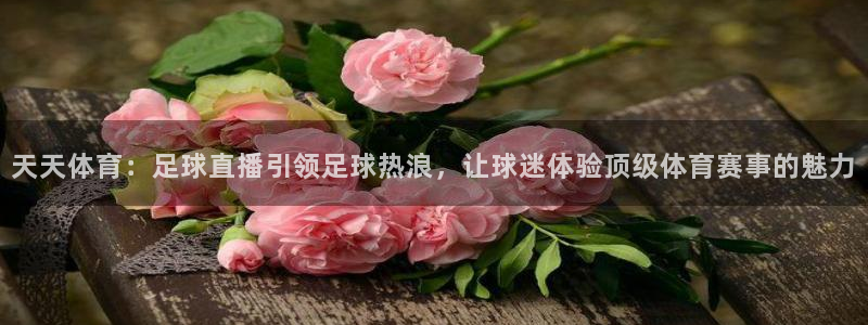 天天体育：足球直播引领足球热浪，让球迷体验顶级体育赛事的魅力